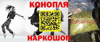 стаф Краснодар