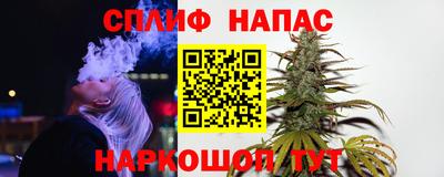 стаф Краснодар