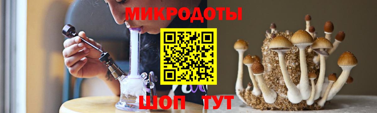 купить наркотики сайты  Вход с VPN  Калуга  Галлюциногенные грибы мицелий 